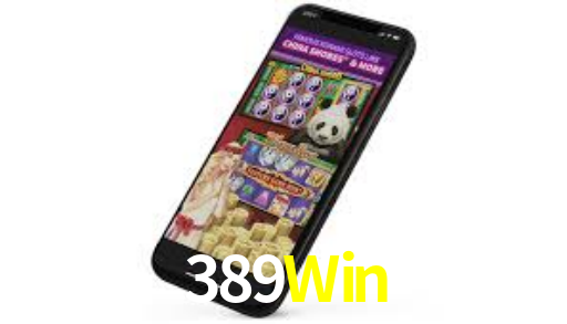 389Win App